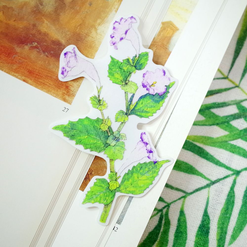臺灣特有種花草繪畫防水大貼紙│曲莖蘭嵌馬藍/阿里山龍膽/蘭嶼烏心石