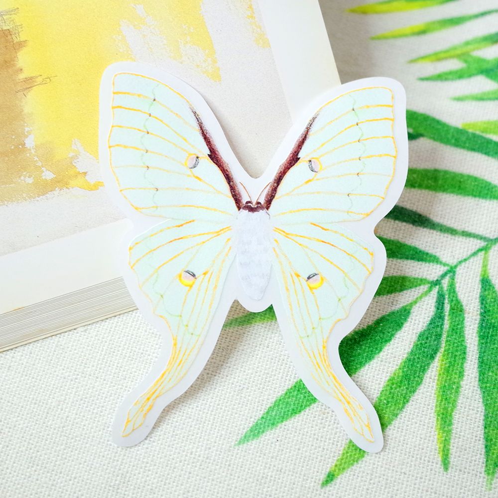 臺灣特有種蝶蛾繪畫防水大貼紙│臺灣長尾水青蛾/琉璃帶鳳蝶/西風翠灰蝶