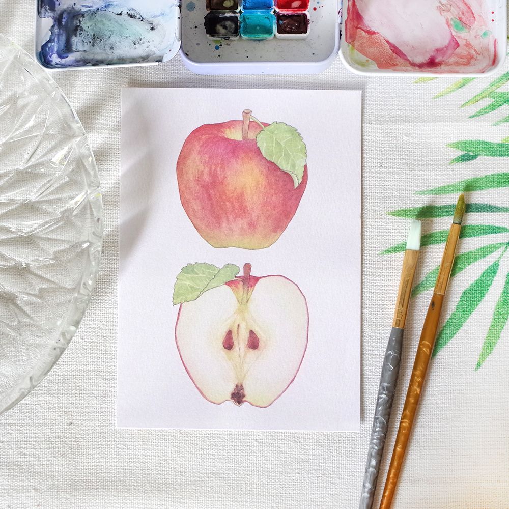 植物繪畫明信片│蘋果/酸漿/青剛櫟