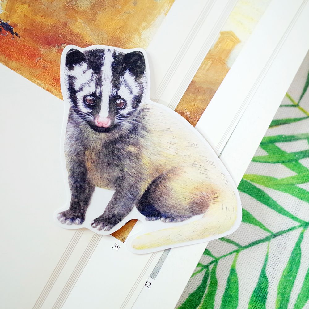 臺灣特有種哺乳類繪畫防水大貼紙│臺灣白鼻心/白面鼯鼠