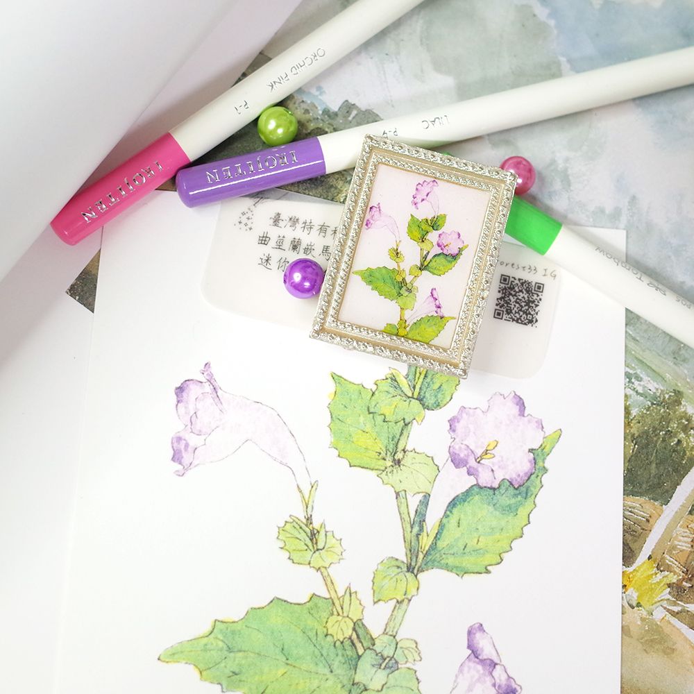 臺灣特有種花草迷你畫別針│曲莖蘭嵌馬藍/阿里山龍膽