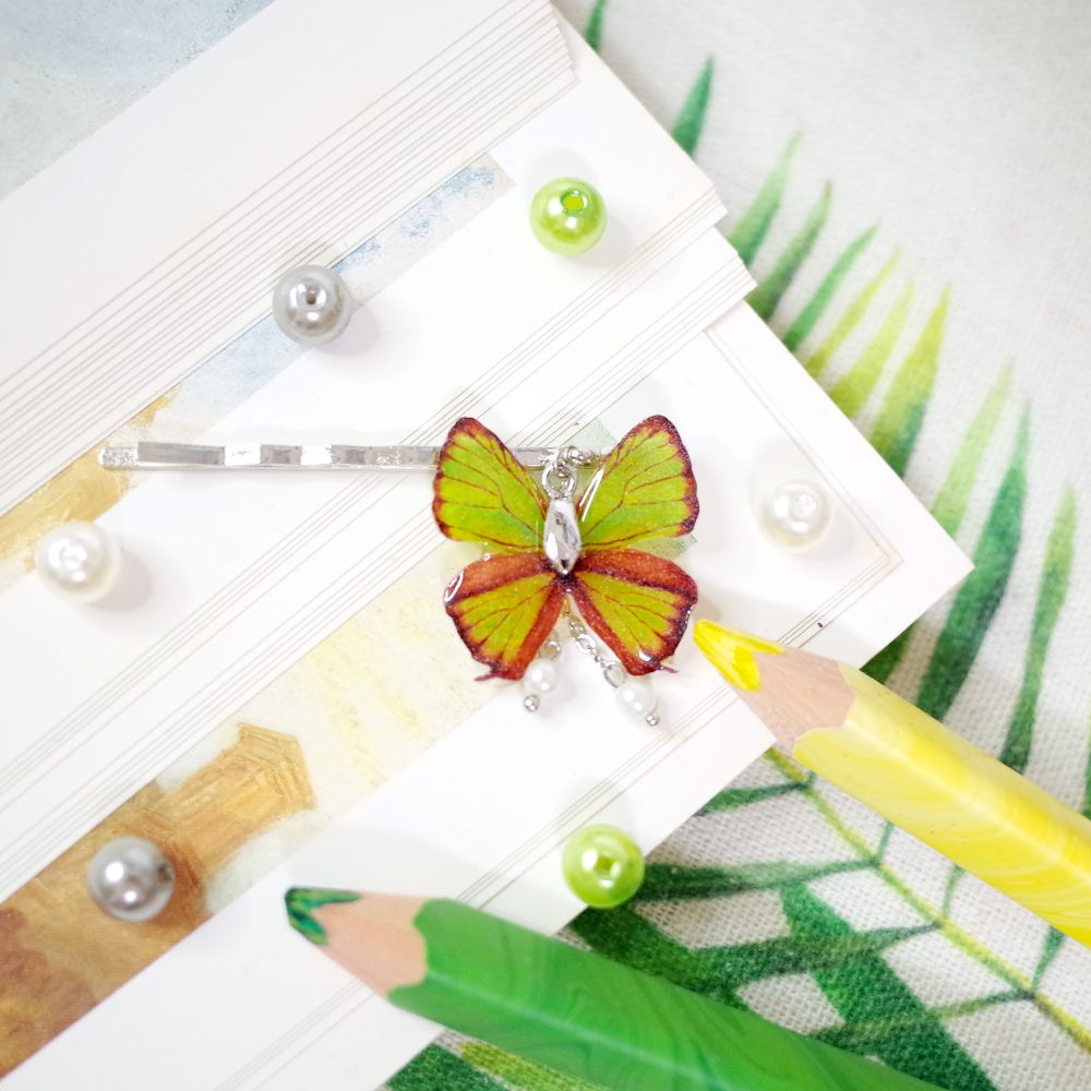 臺灣特有種蝶蛾繪畫一字夾│西風翠灰蝶/琉璃帶鳳蝶