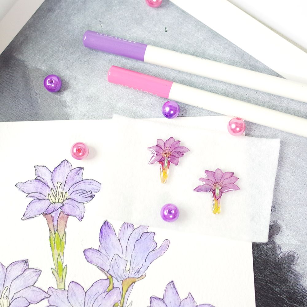 臺灣特有種花草鈕扣│阿里山龍膽/曲莖蘭嵌馬藍