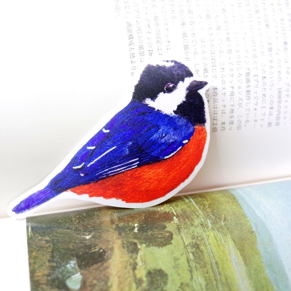 臺灣特有種鳥類繪畫防水大貼紙│赤腹山雀/臺灣藍鵲/白耳畫眉/東方草鴞/大冠鷲