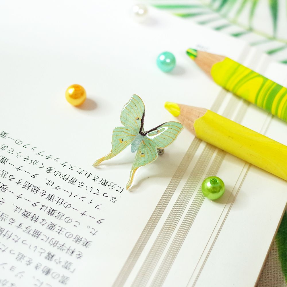 臺灣特有種蝶蛾醫療鋼耳骨夾│臺灣長尾水青蛾