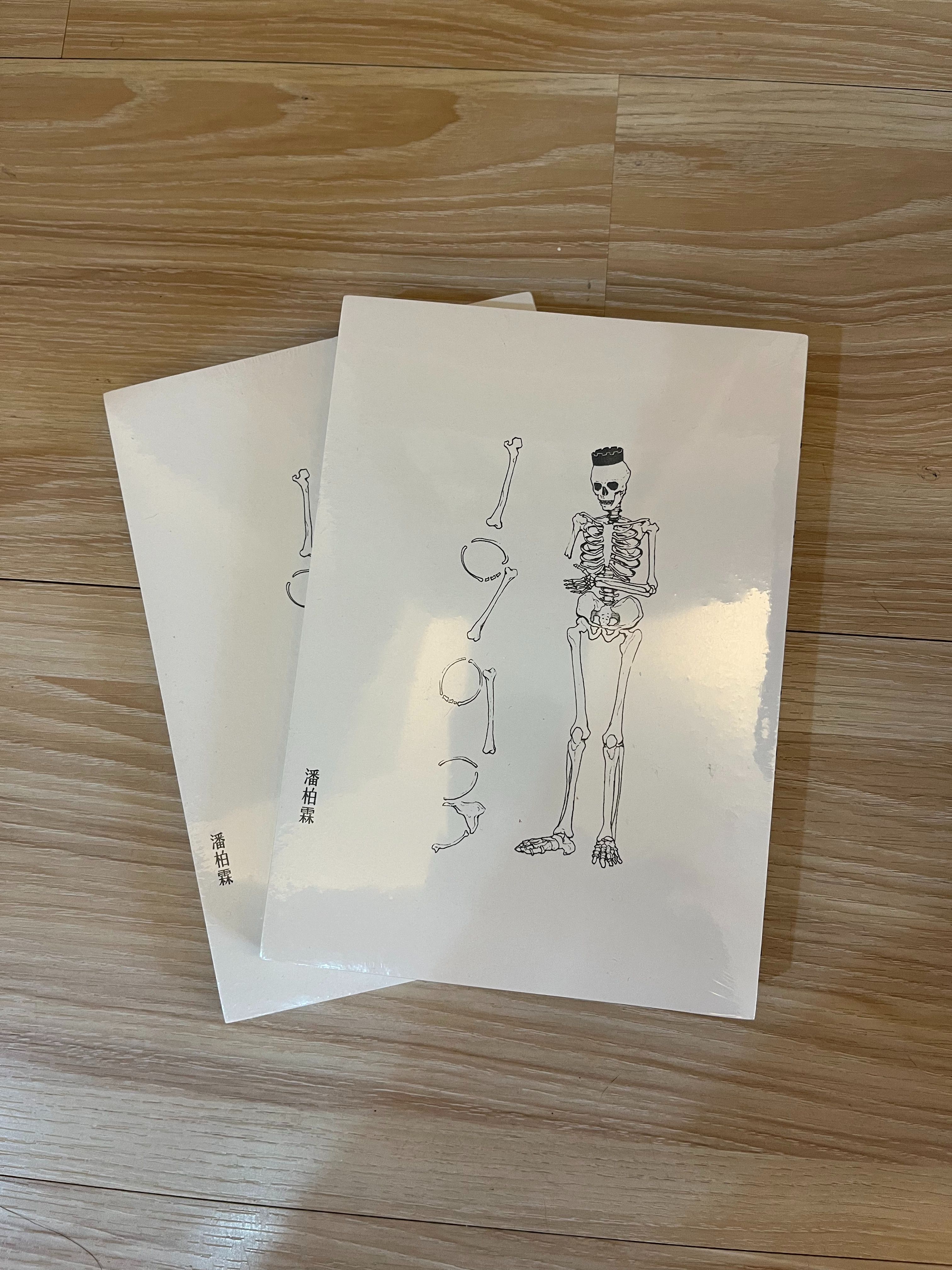 潘柏霖 1993 全新