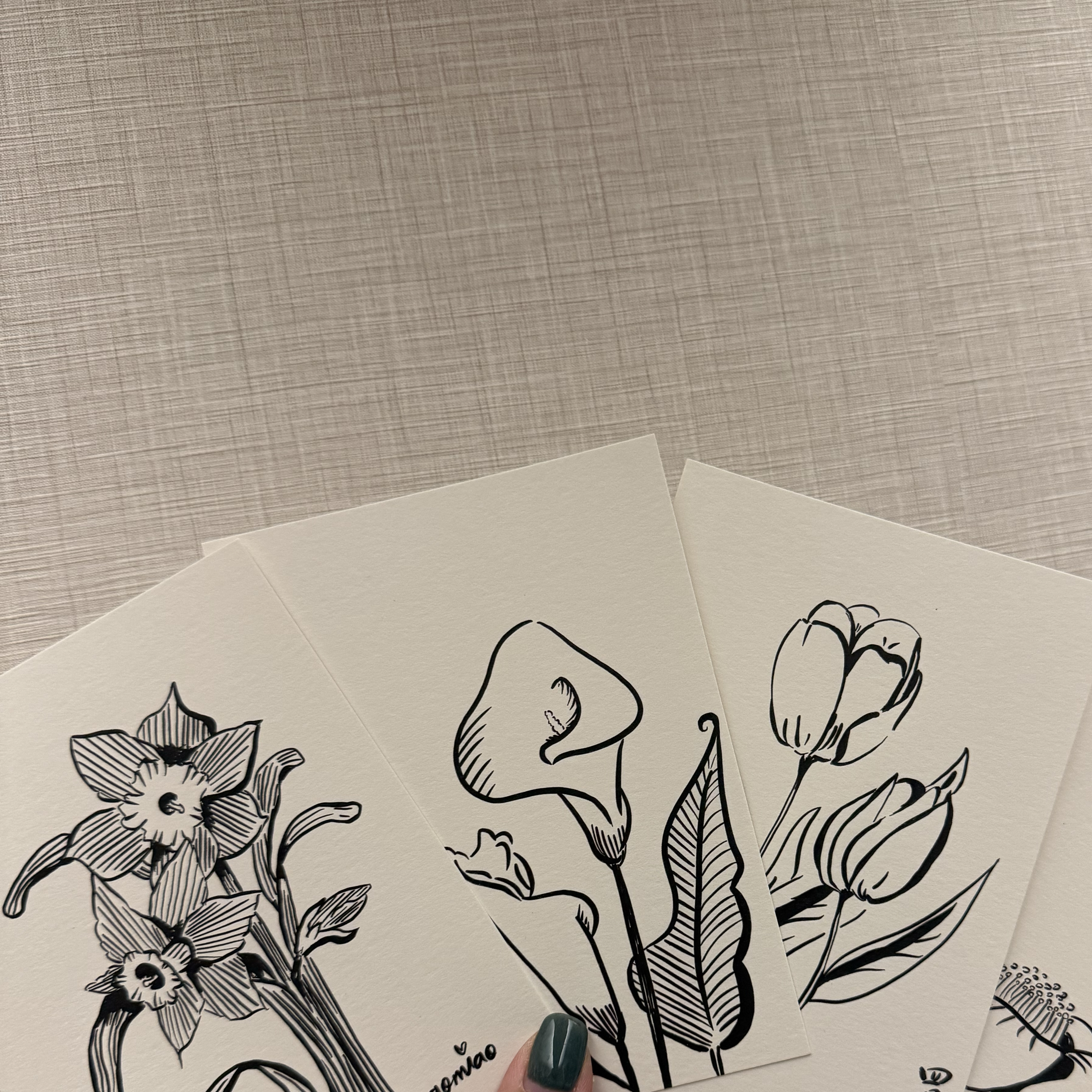 [現貨]《12月花》