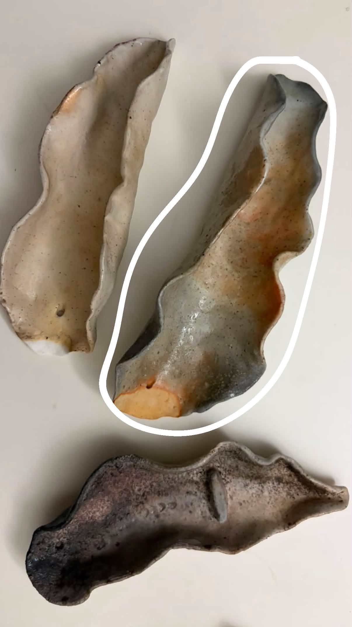 海蛞蝓香座
