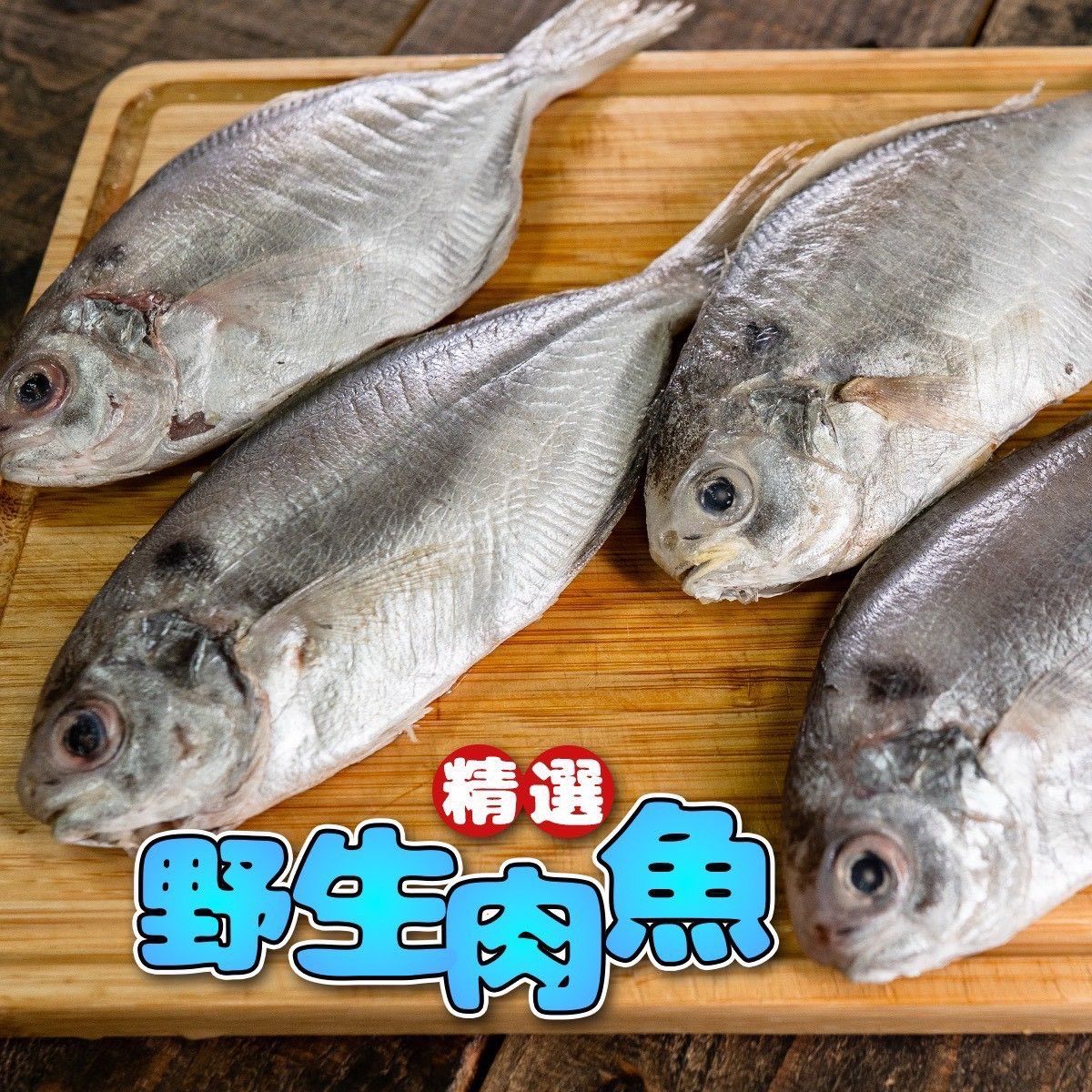 野生肉魚