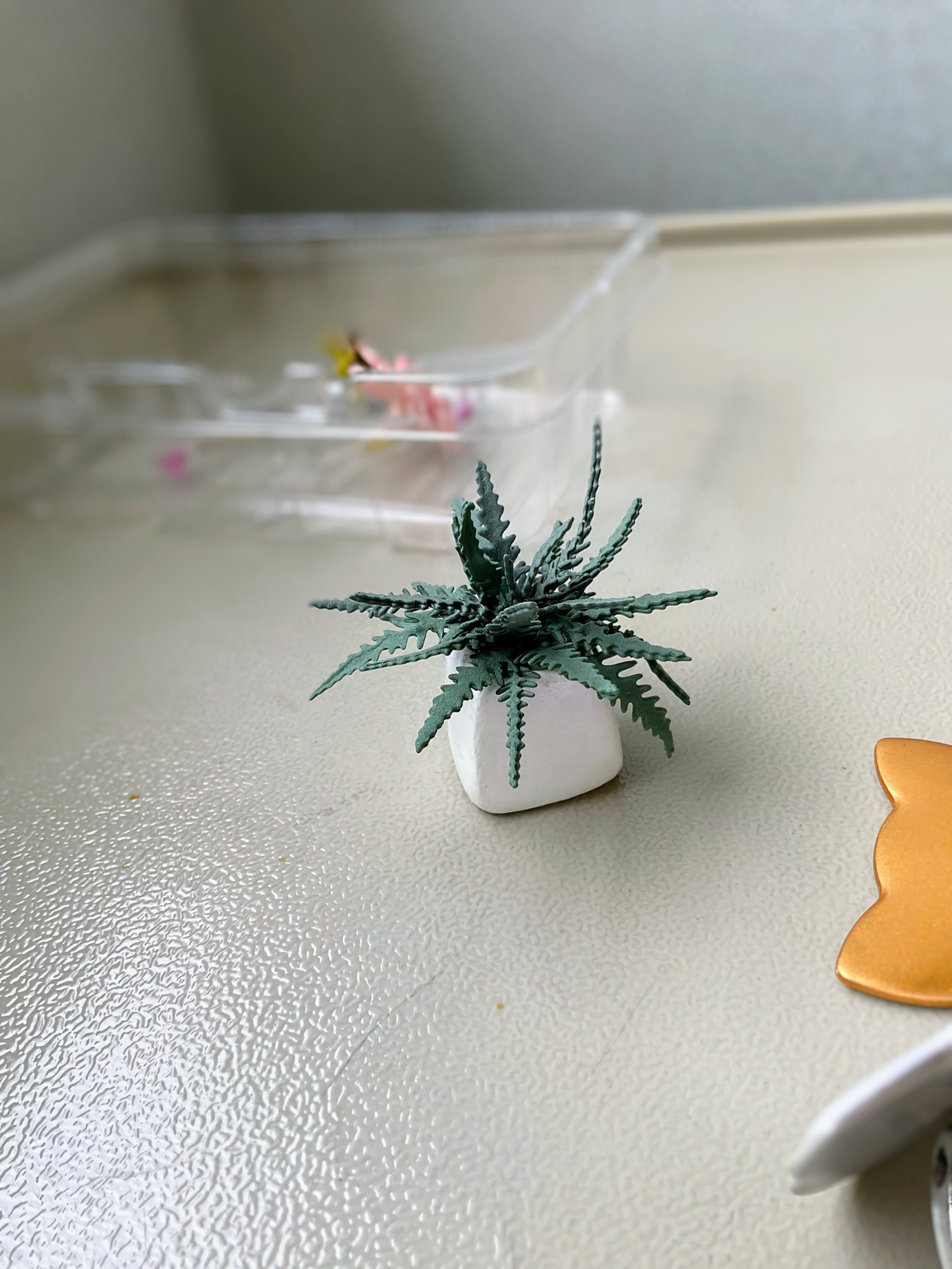 黏土做的其他植物