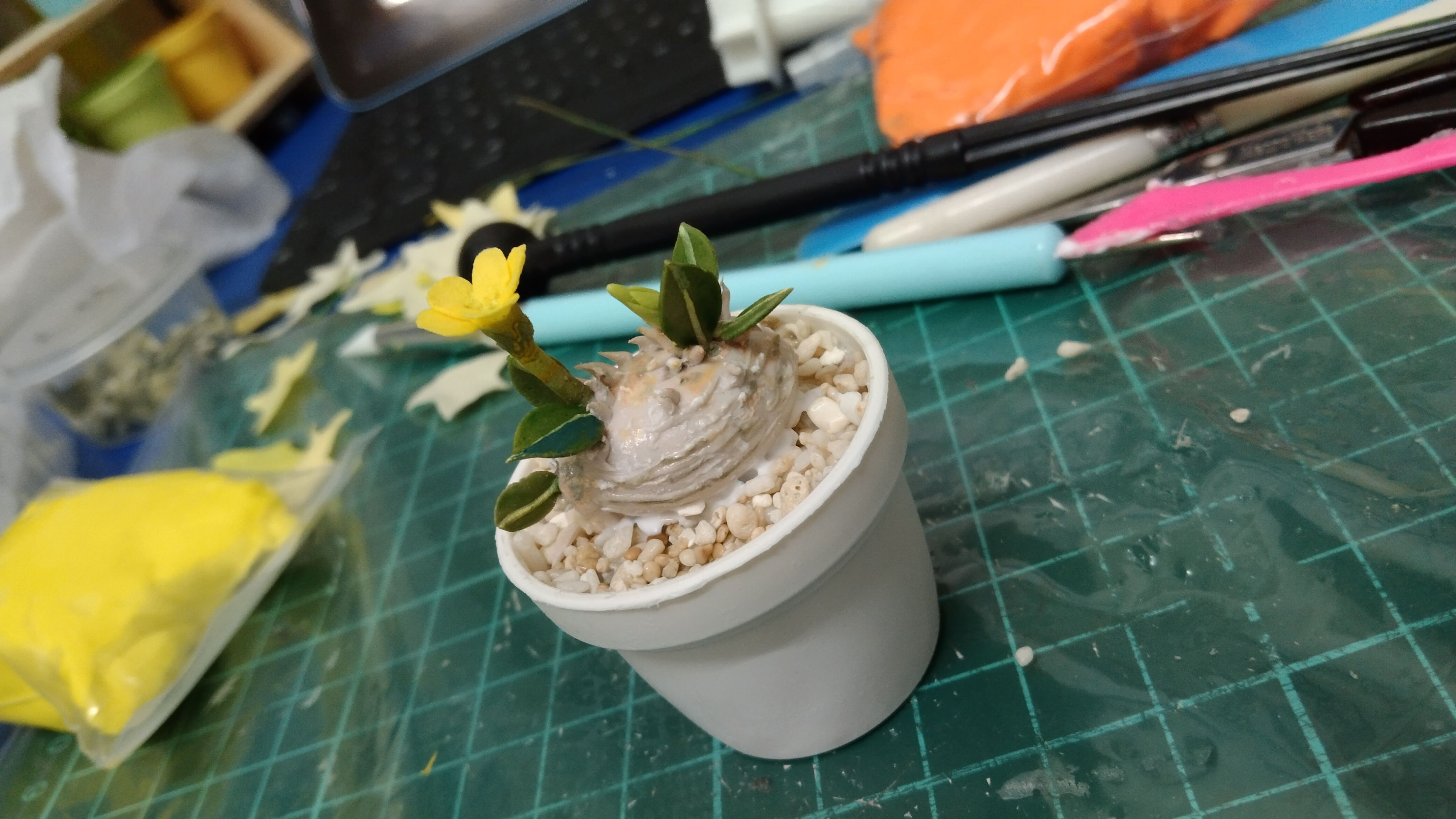朋朋的訂單