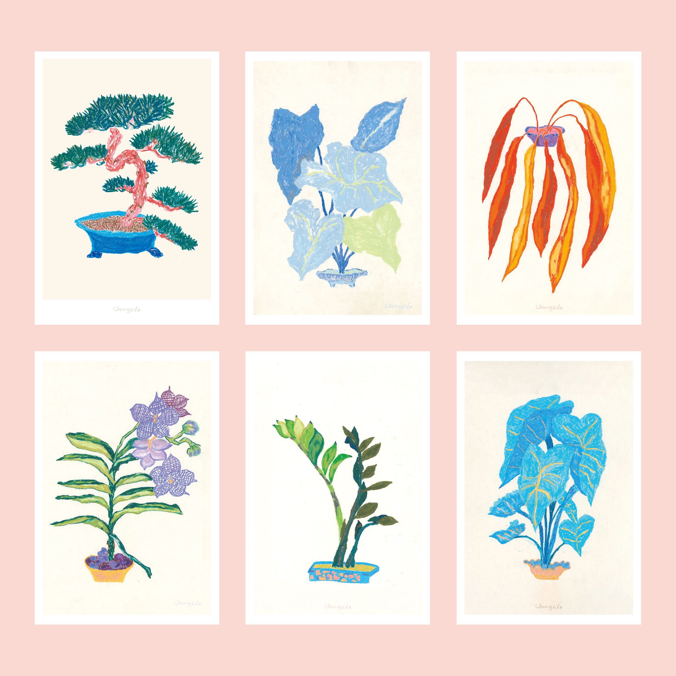 萬用卡 植物 10x15cm
