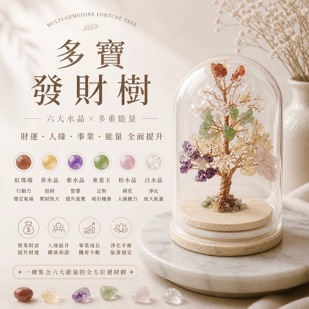 玻璃罩發財樹🤑