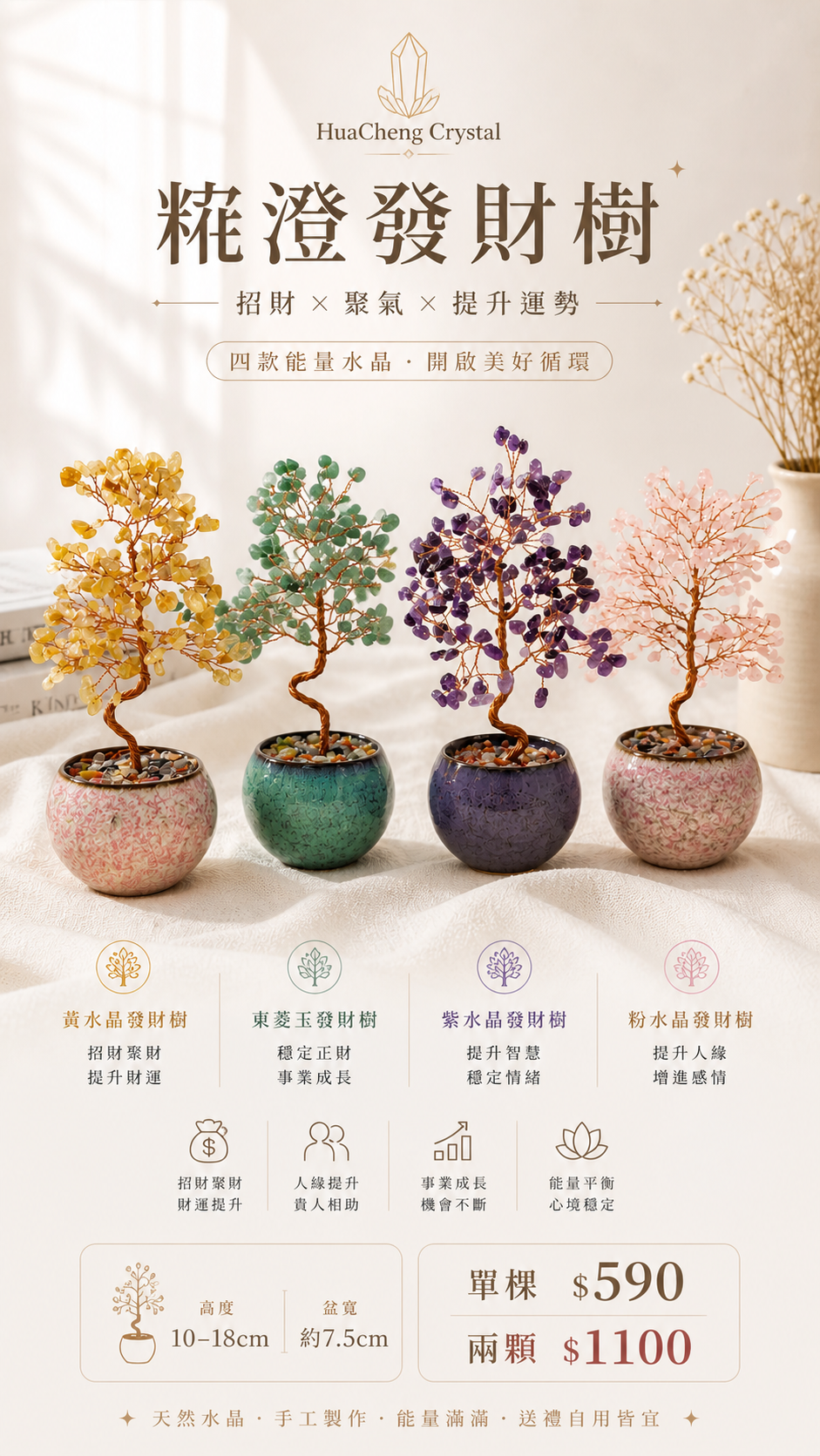 糀澄發財樹
