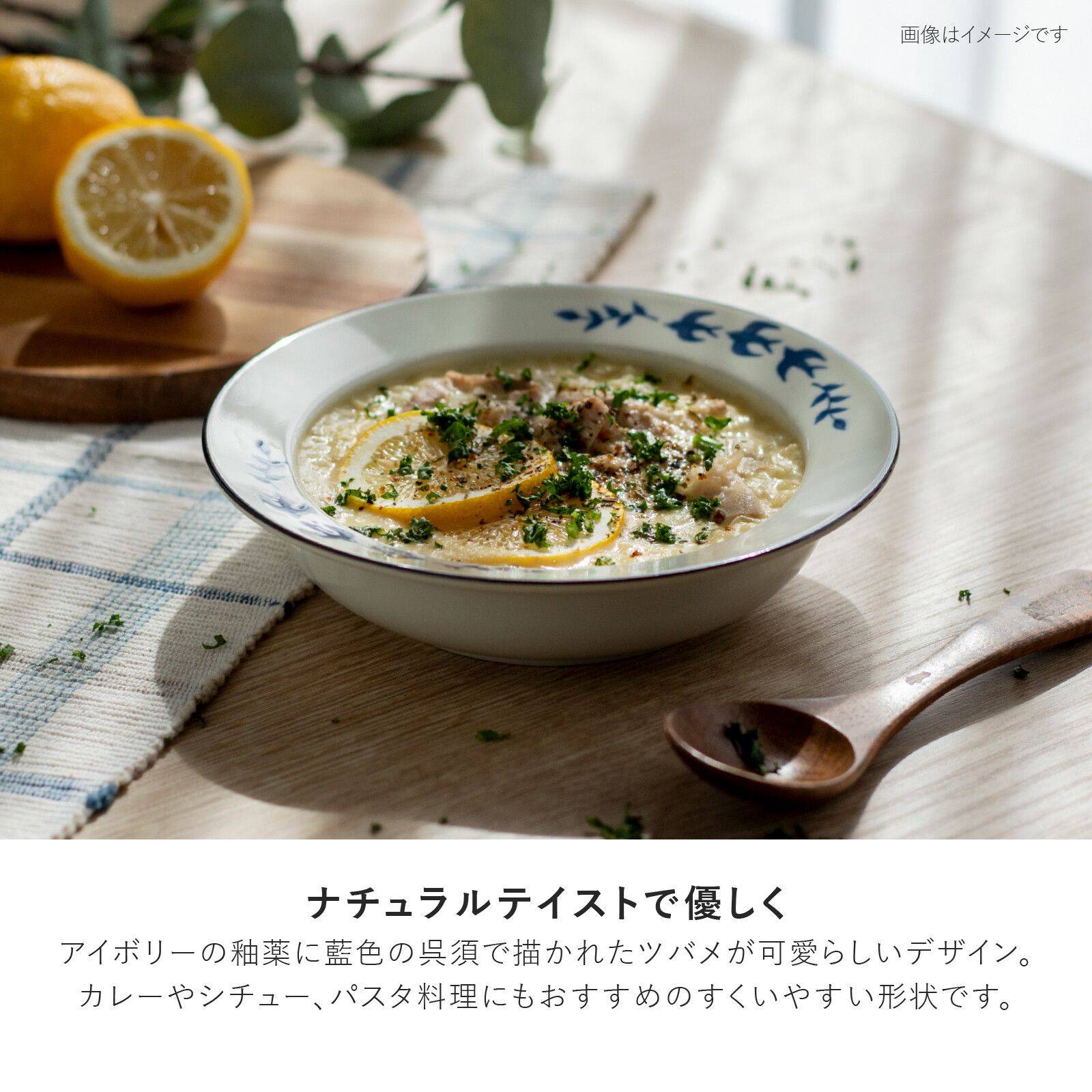 美濃燒 大餐盤/中餐盤 燕子 餐具 日本製造