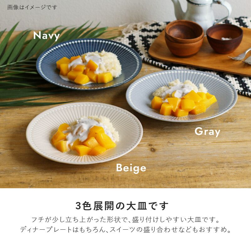 美濃燒 大餐盤/中餐盤 Albee 餐具 日本製造