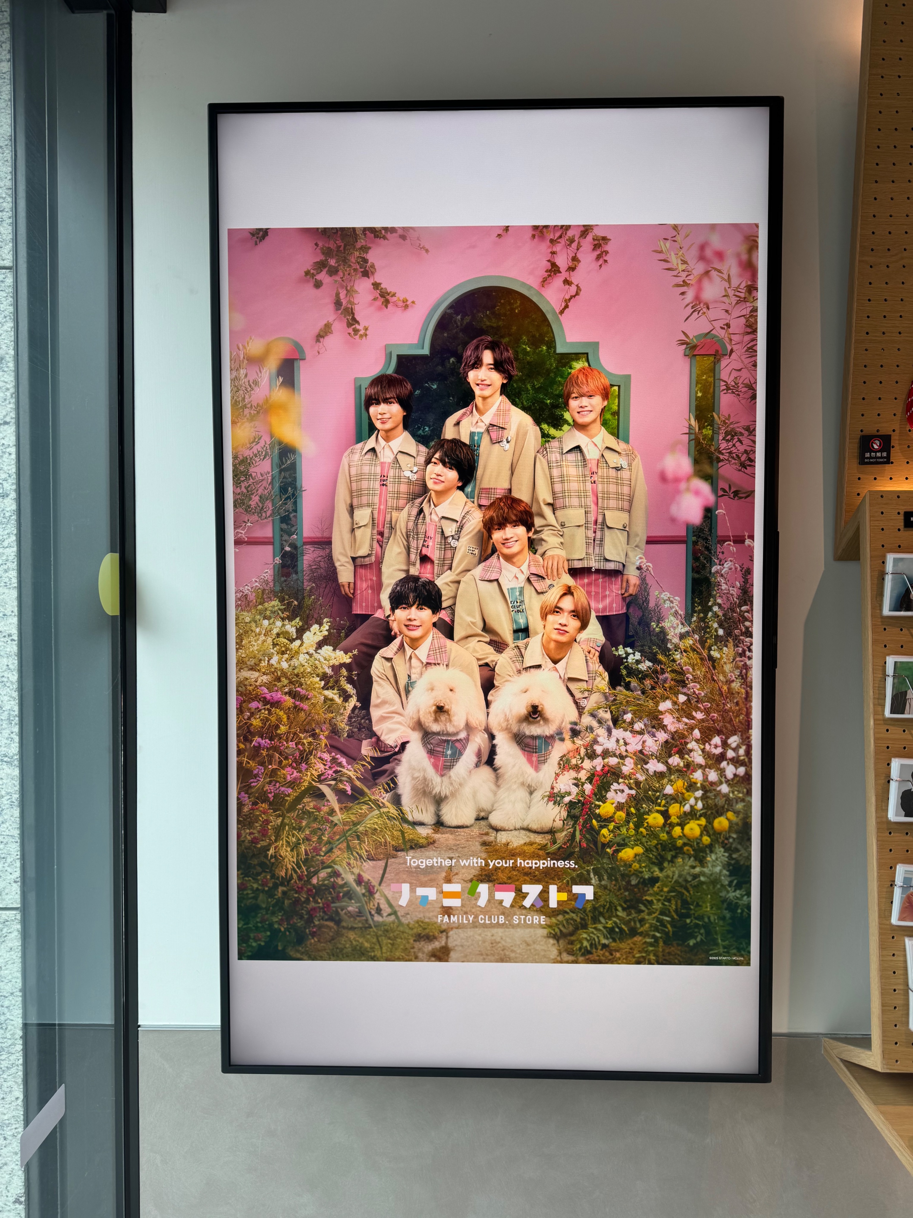 大使照通販渋谷名古屋大阪福岡限定一組