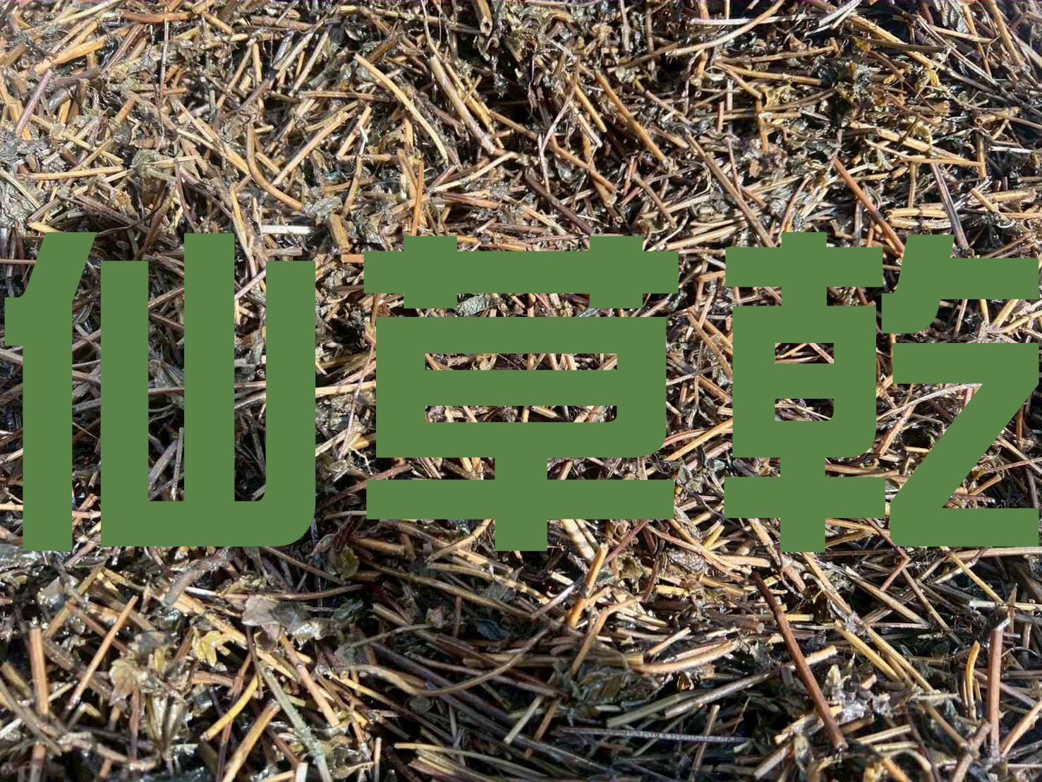 獅潭鄉農會 仙草乾