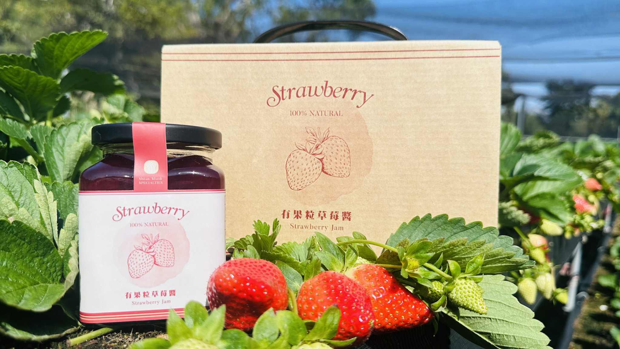 獅潭鄉農會 有果粒草莓醬2入禮盒