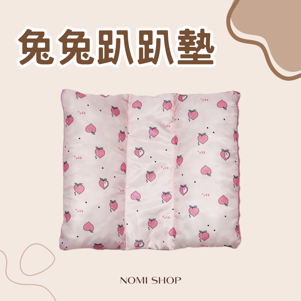 🐰兔子趴趴墊（雙面都可用!）