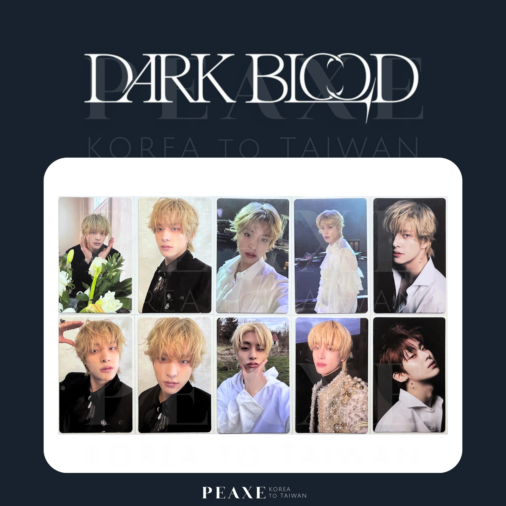 ENHYPEN 迷你四輯［DARK BLOOD］專輯 小卡 專卡 JAKE 沈載倫 SUNOO 金善禹