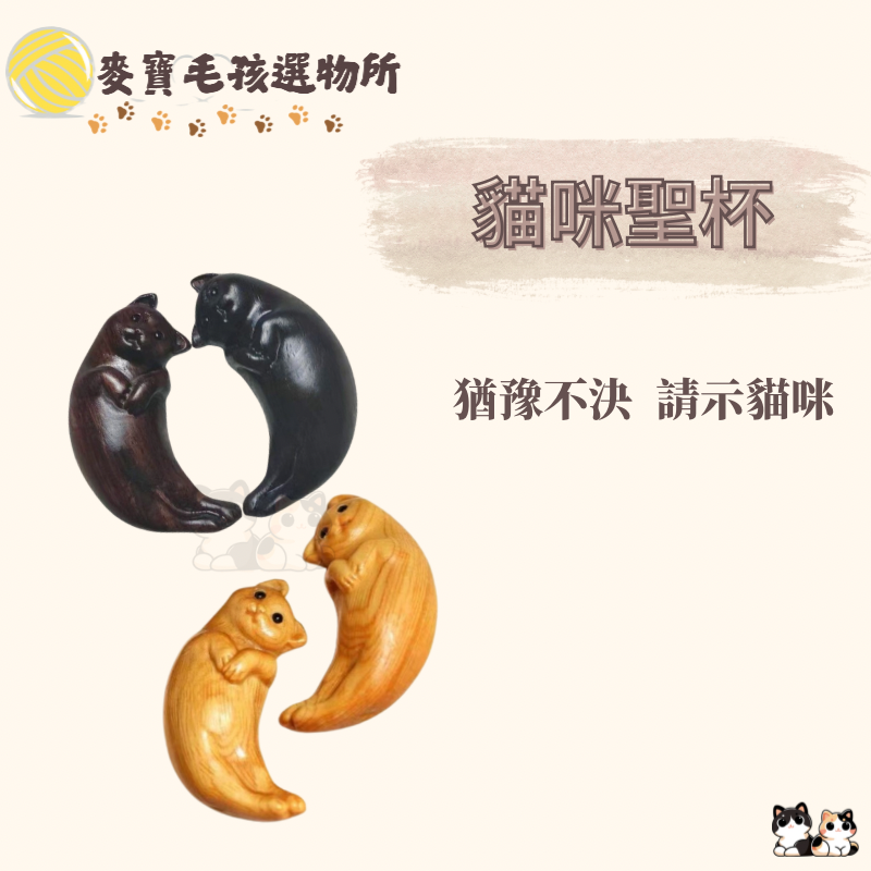 貓咪聖杯  可愛聖杯