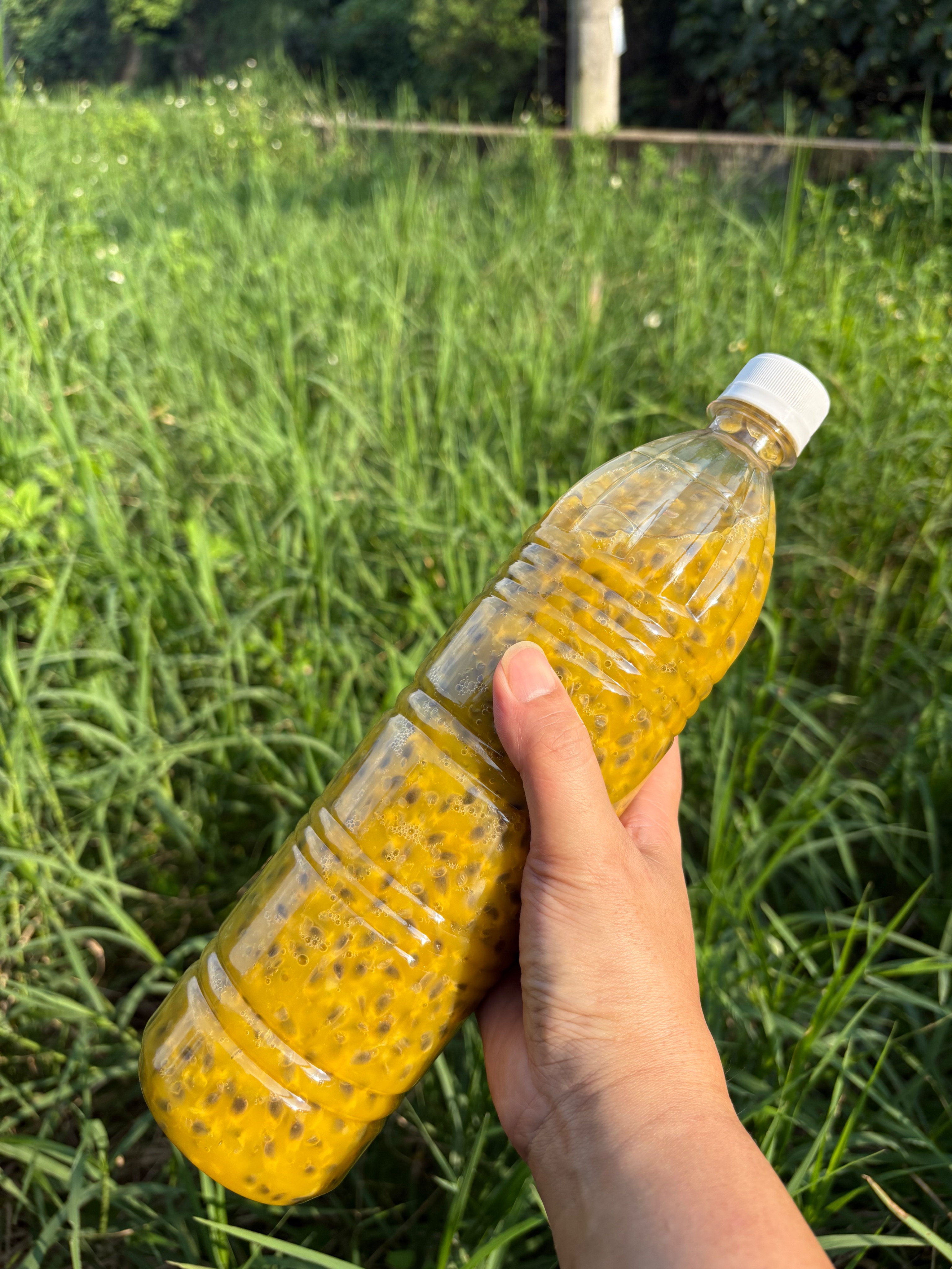 料理用百香果原汁