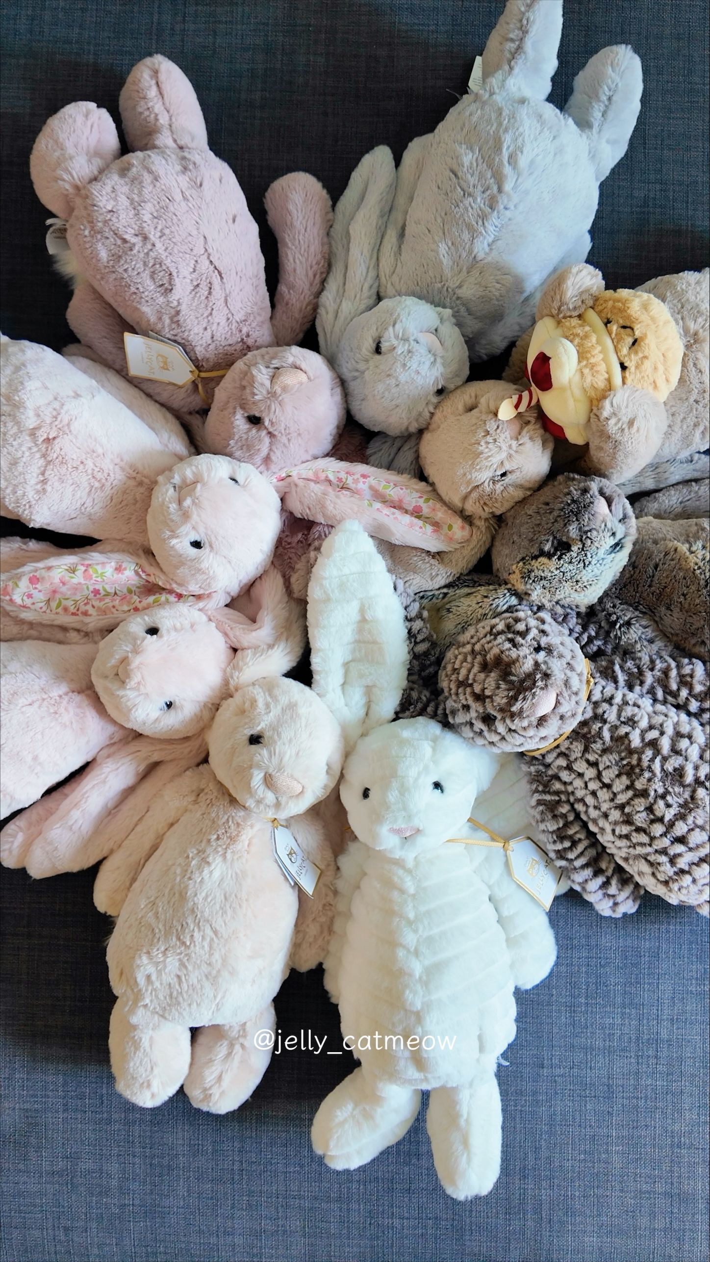 Jellycat 31cm/36cm 兔兔系列🐰