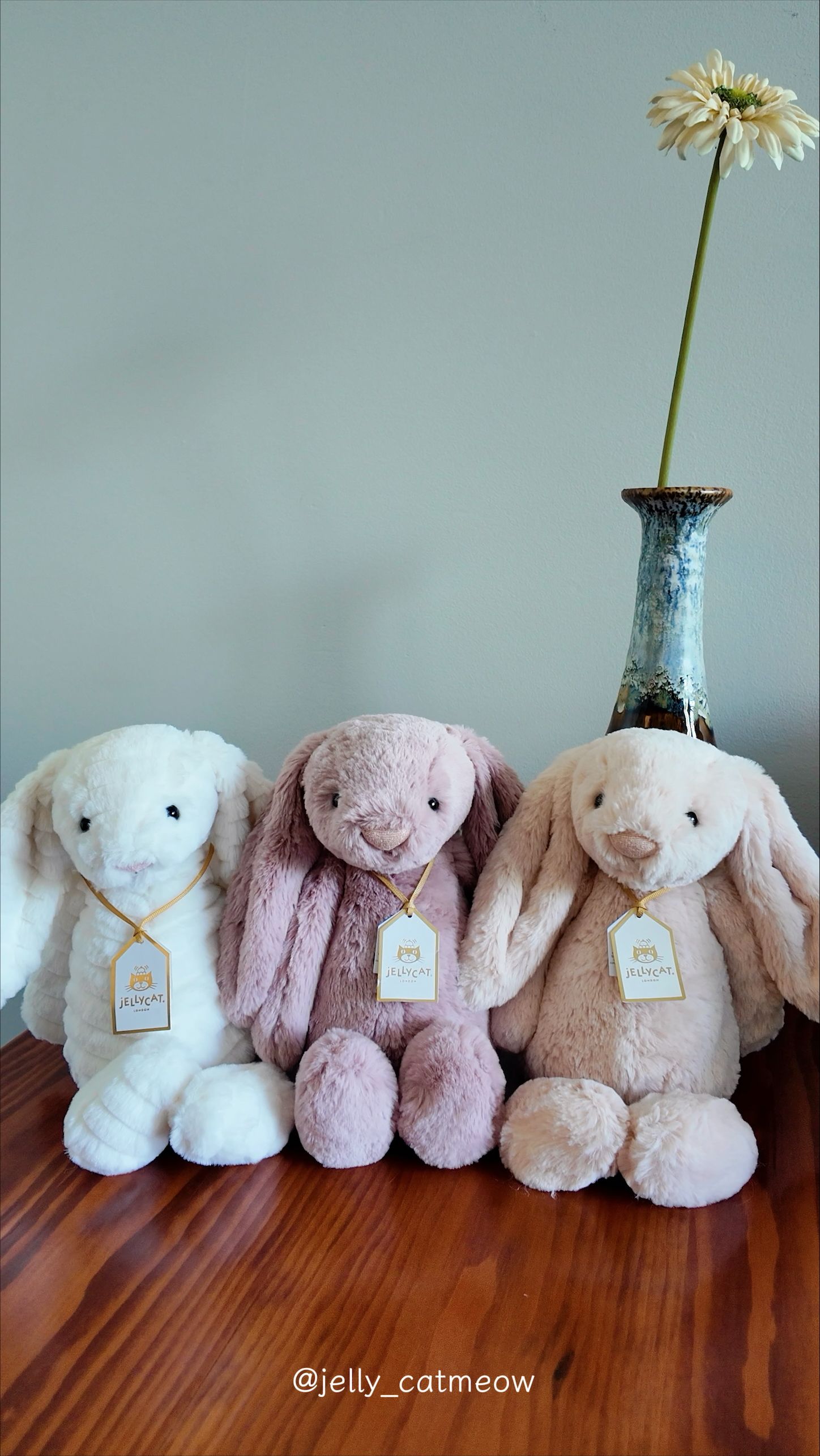 Jellycat 金標兔兔系列 🌟