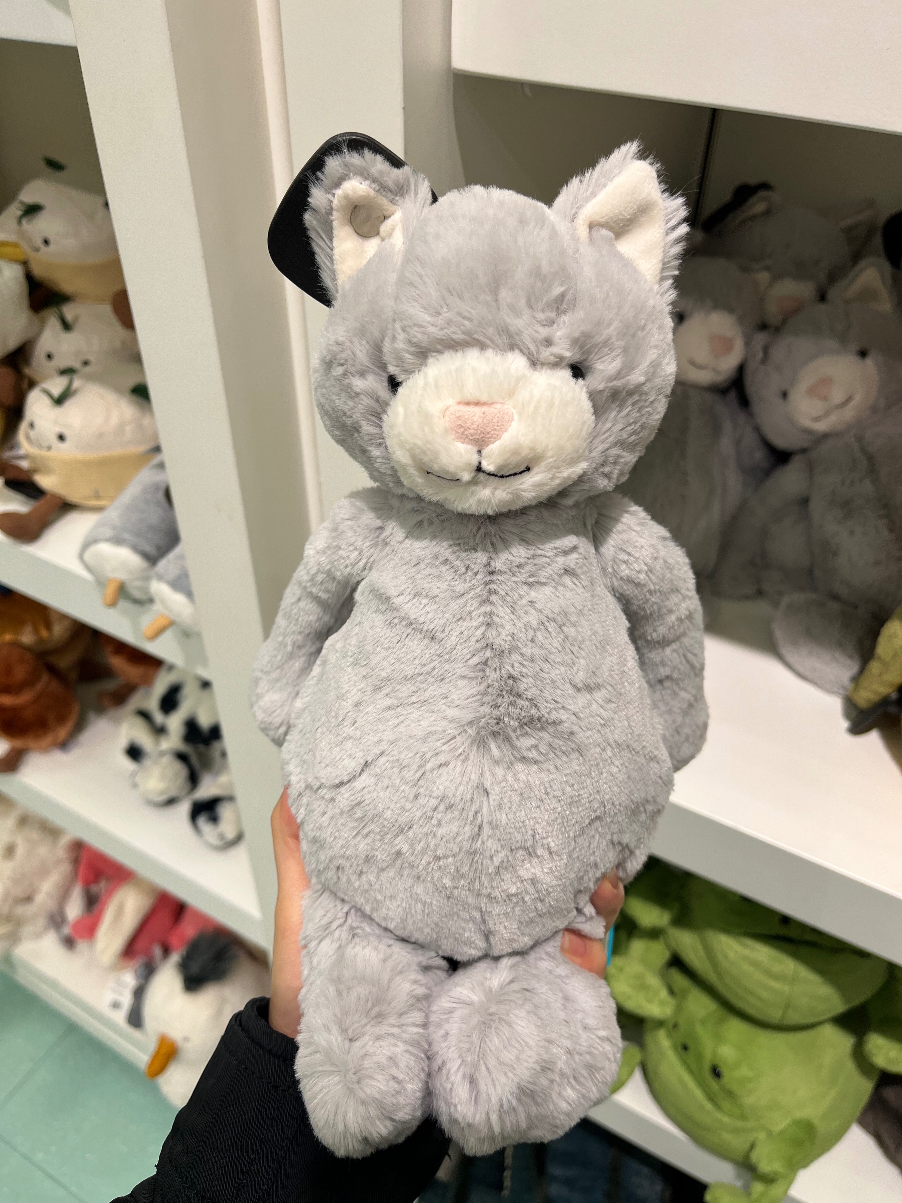Jellycat 灰貓貓 🐱