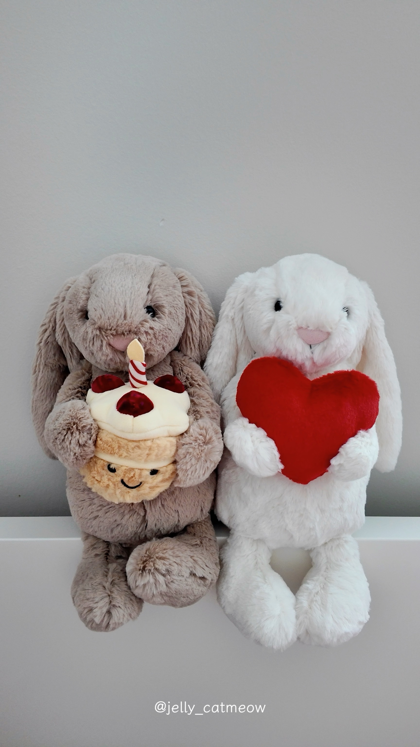Jellycat 抱抱系列兔 🐰