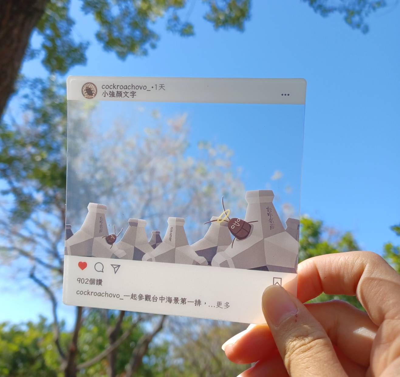 消波塊中的小強 IG透卡 PVC 透卡 10X10方卡