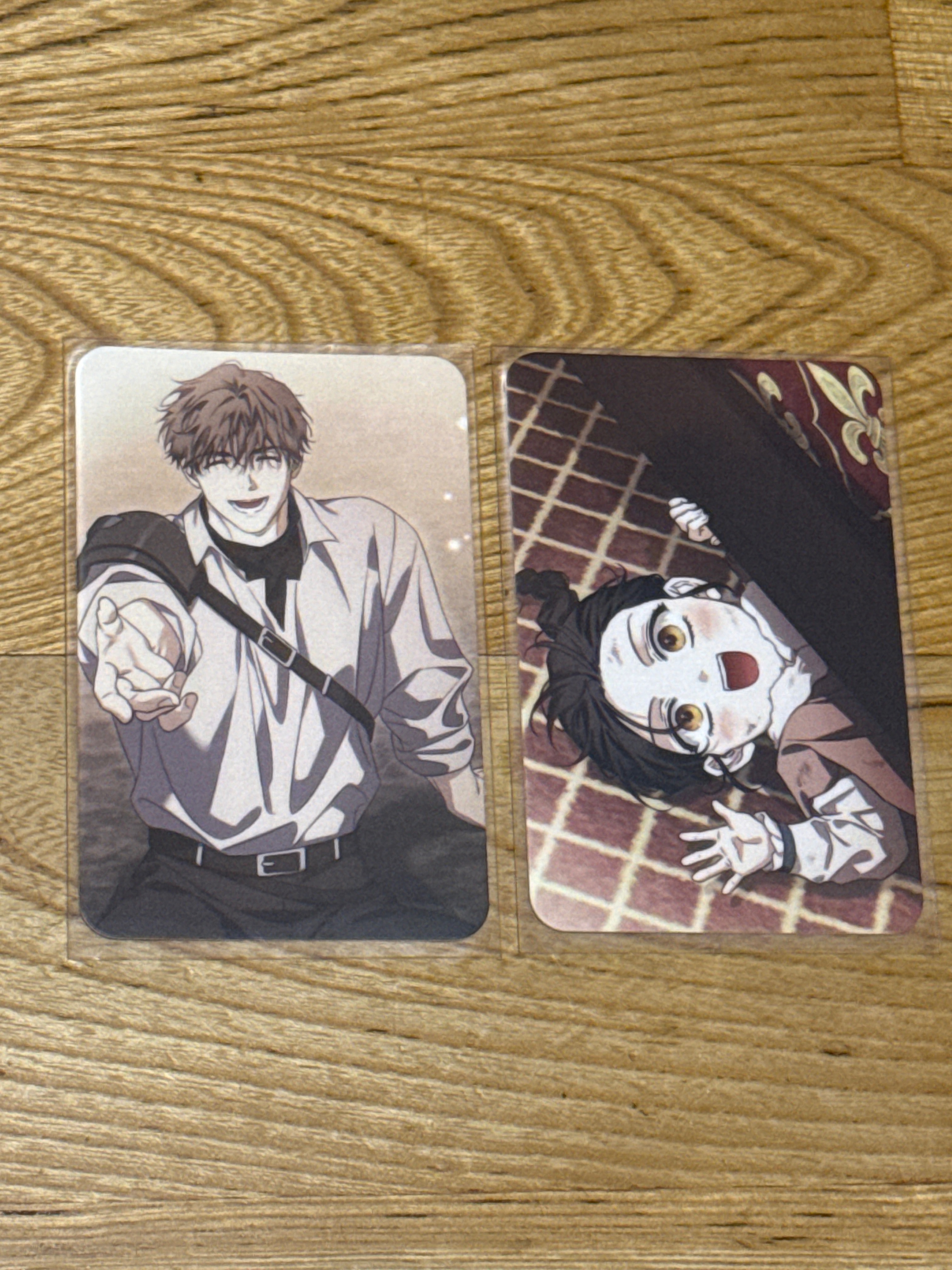 馴服前夫的瘋狗