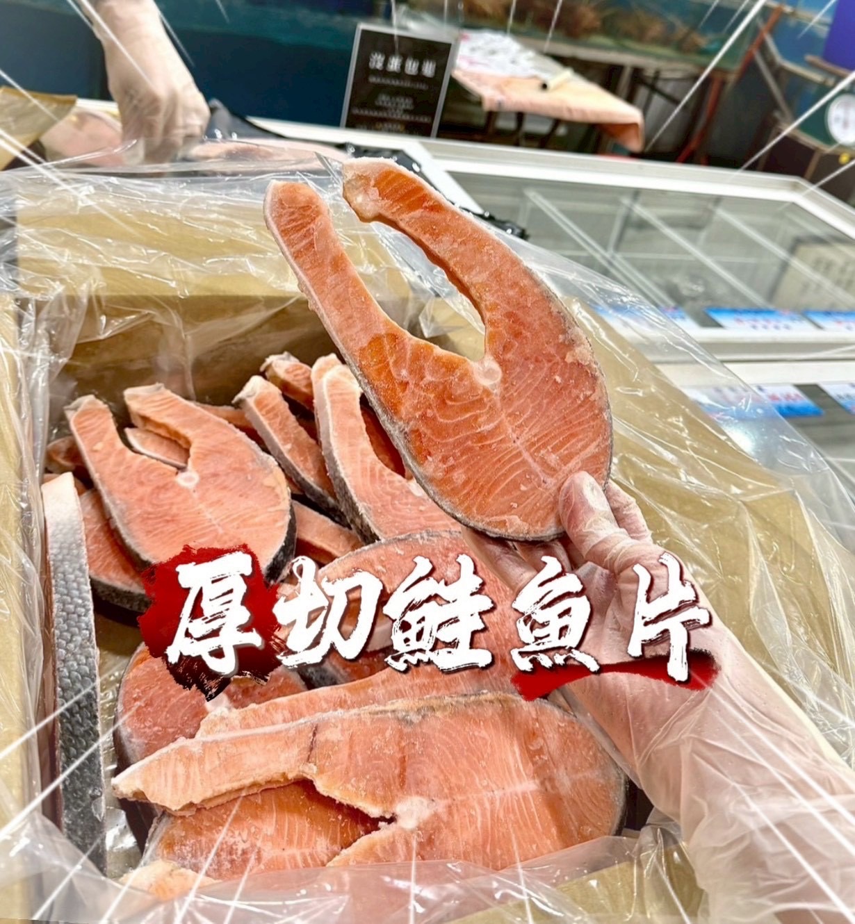 鮭魚🍣系列