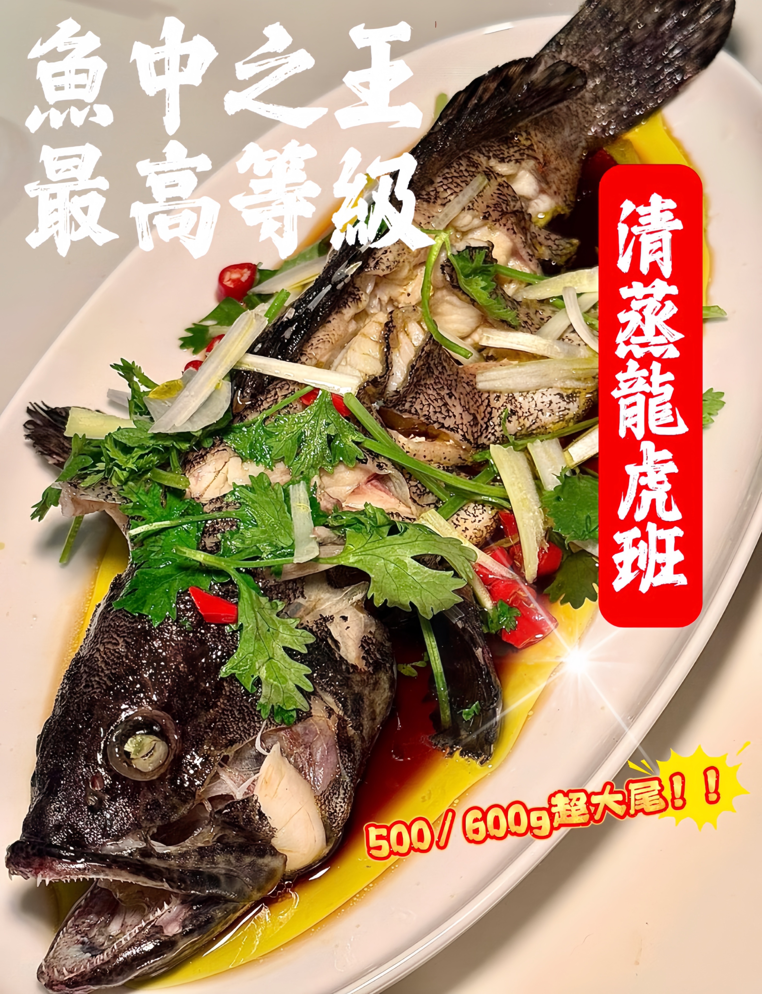 年節必備🐟 清蒸最強王者✨龍虎斑✨每尾500/600g