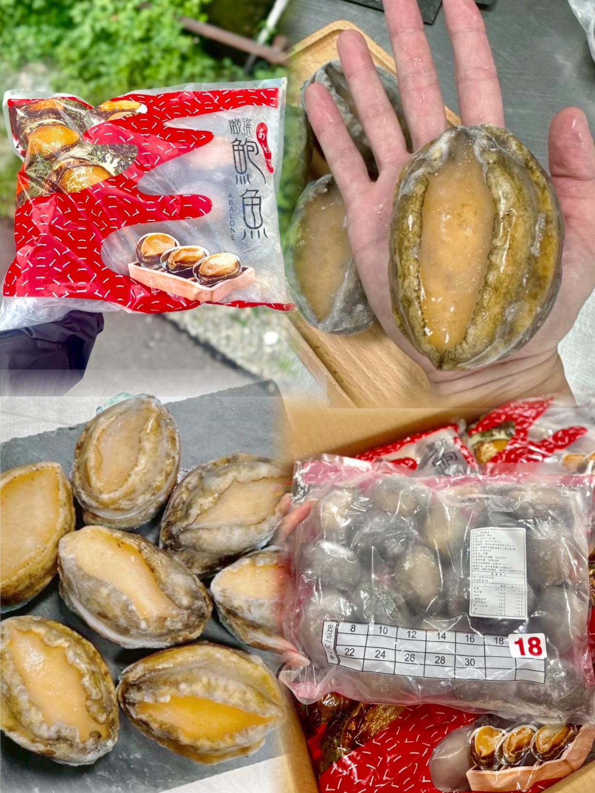 【伯宥水產】👑 18p帶殼鮑魚（1kg）