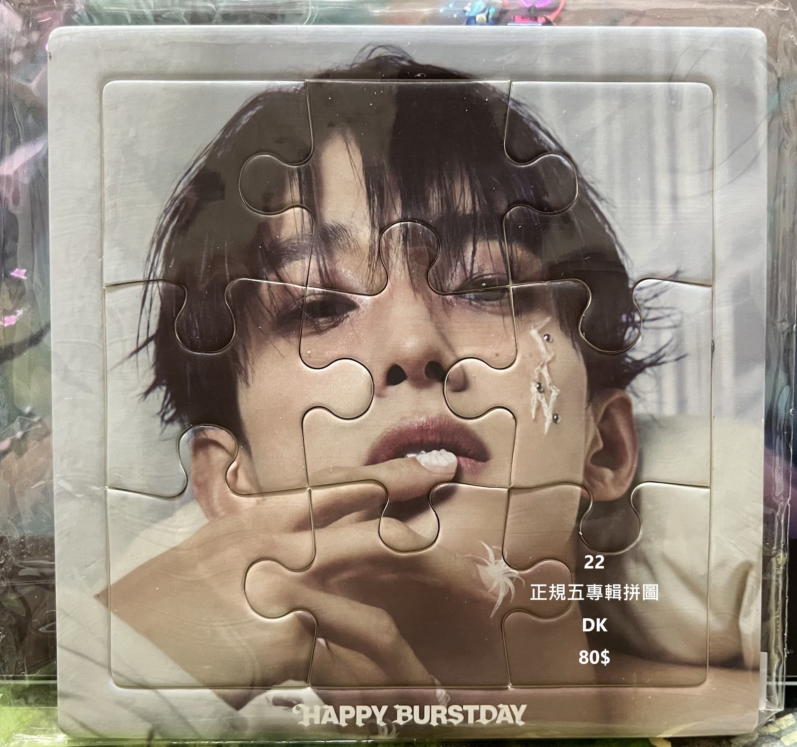 Seventeen 正規五專輯 DK 拼圖