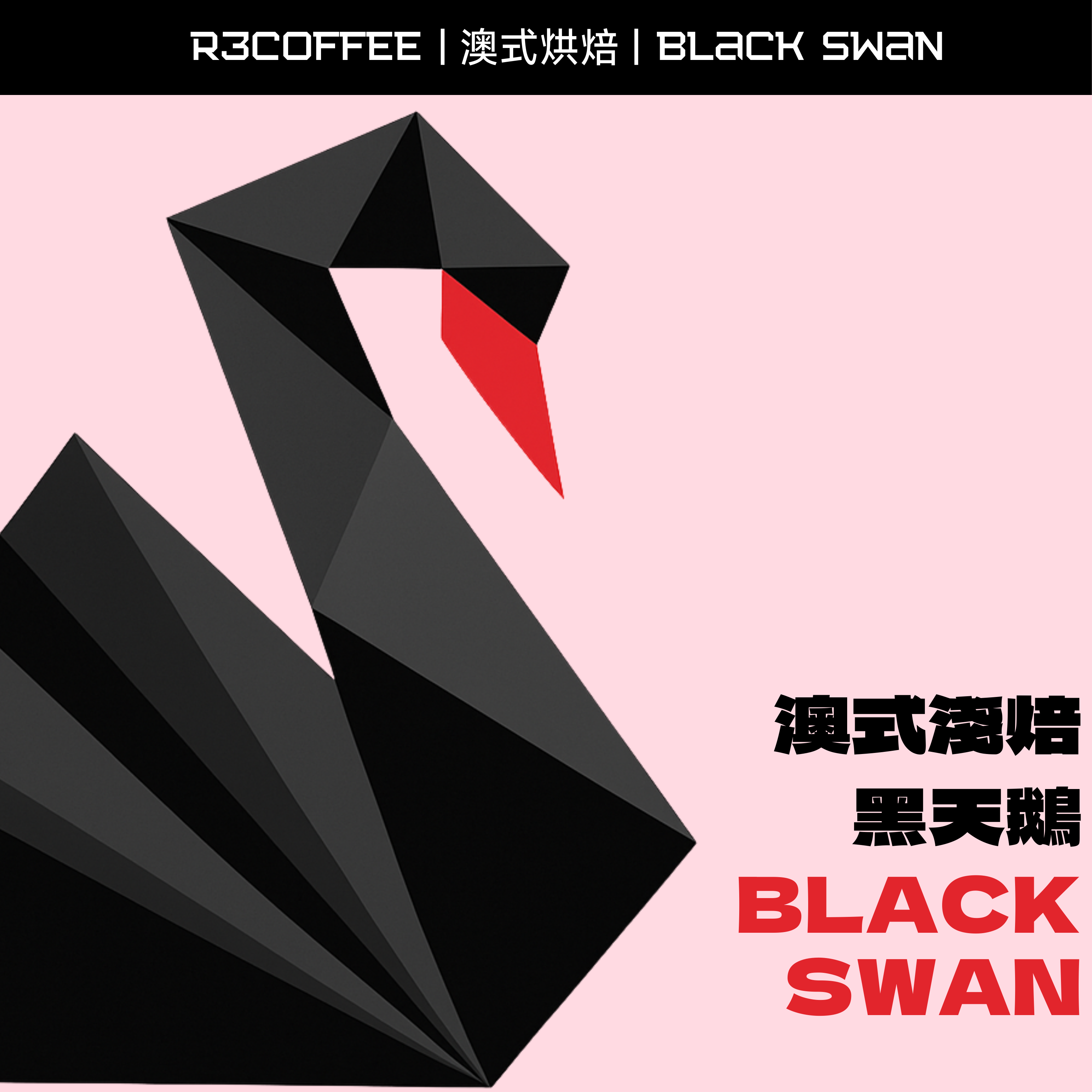 黑天鵝 Black Swan #淺焙 #澳式烘焙