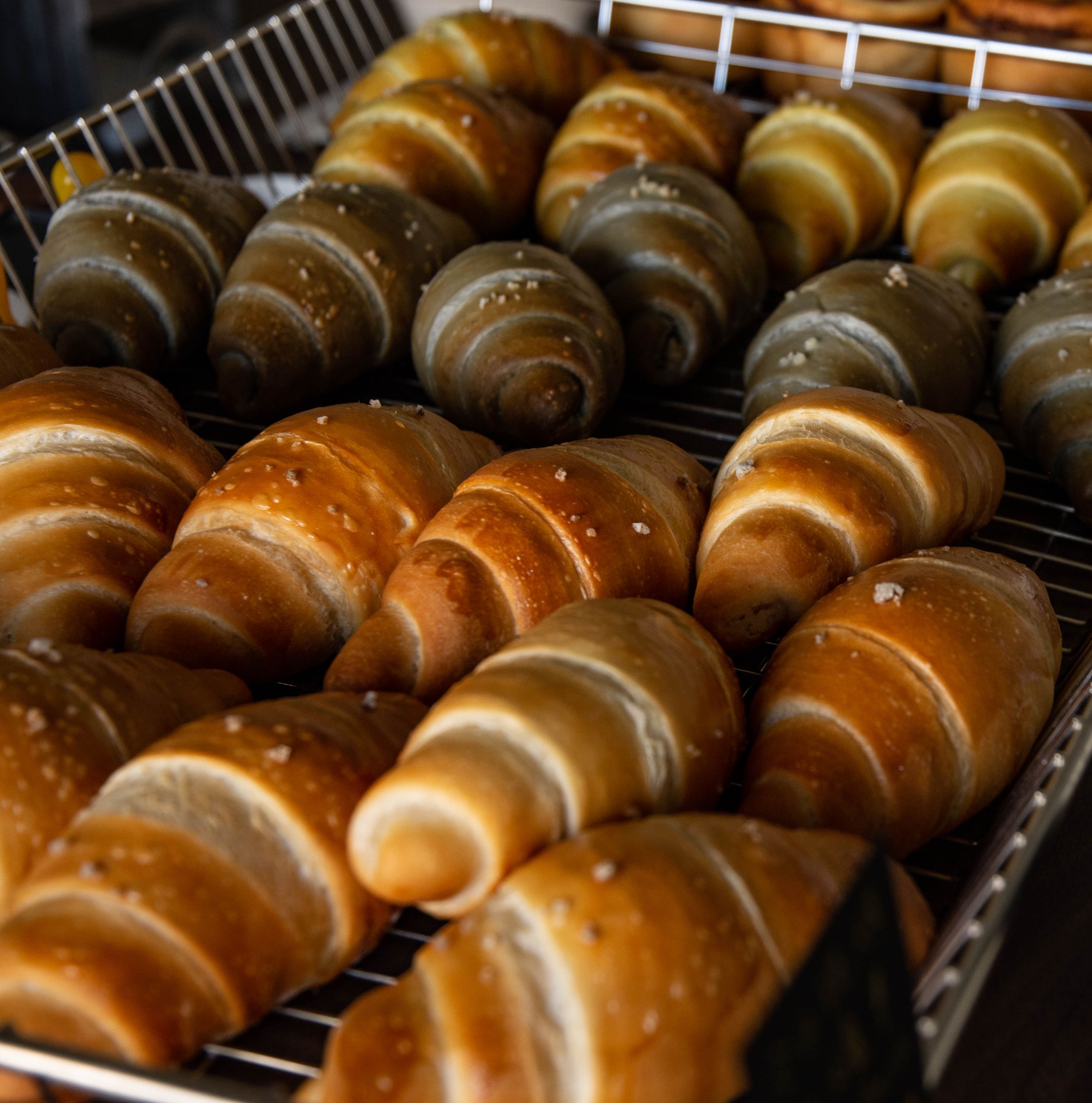 ⏮︎  鹽可頌狂熱 ⏸︎ Butter Roll Fever  ⏭︎