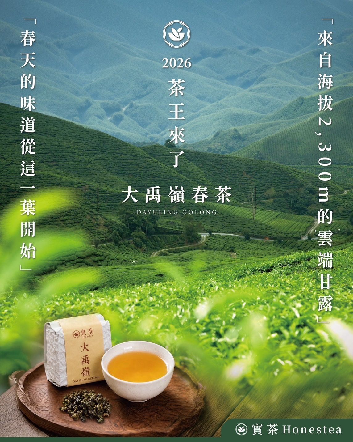 2026大禹嶺頂級春茶
