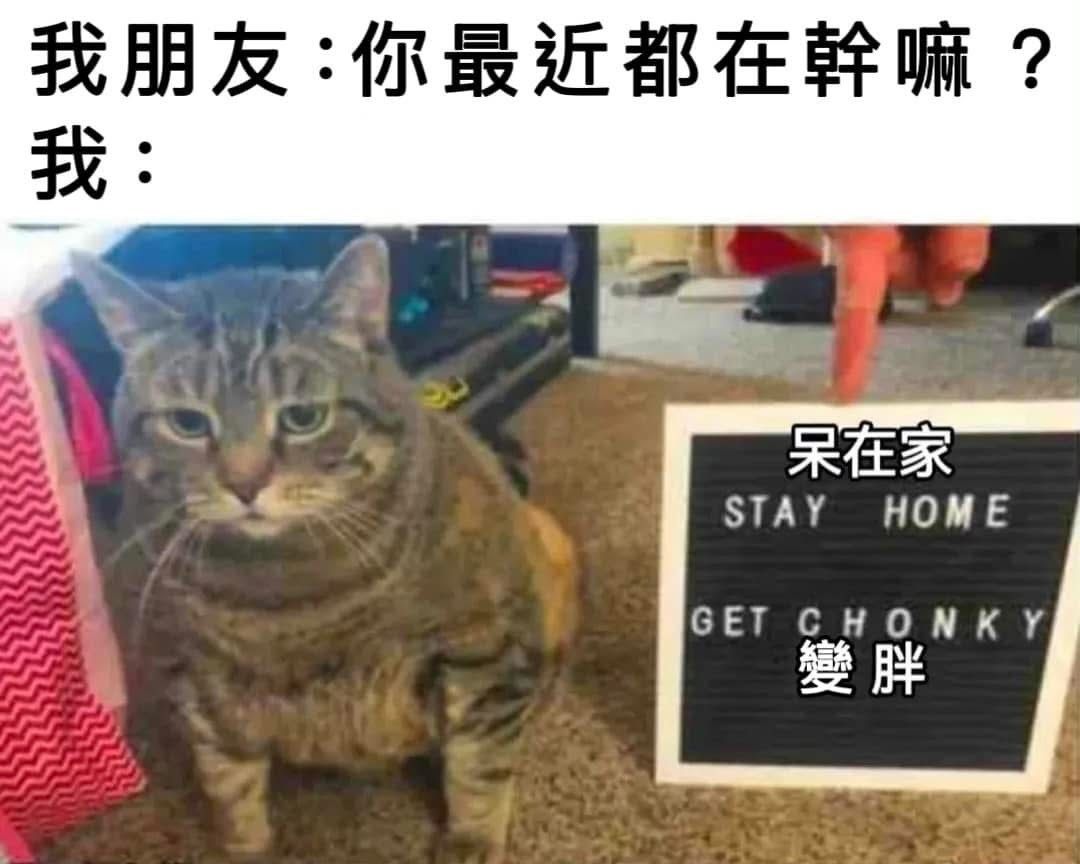手續費