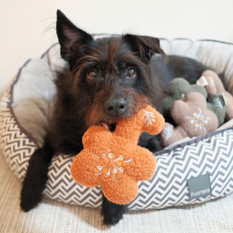 （預購）狗狗用嗶嗶玩具 / 可自選花和顏色