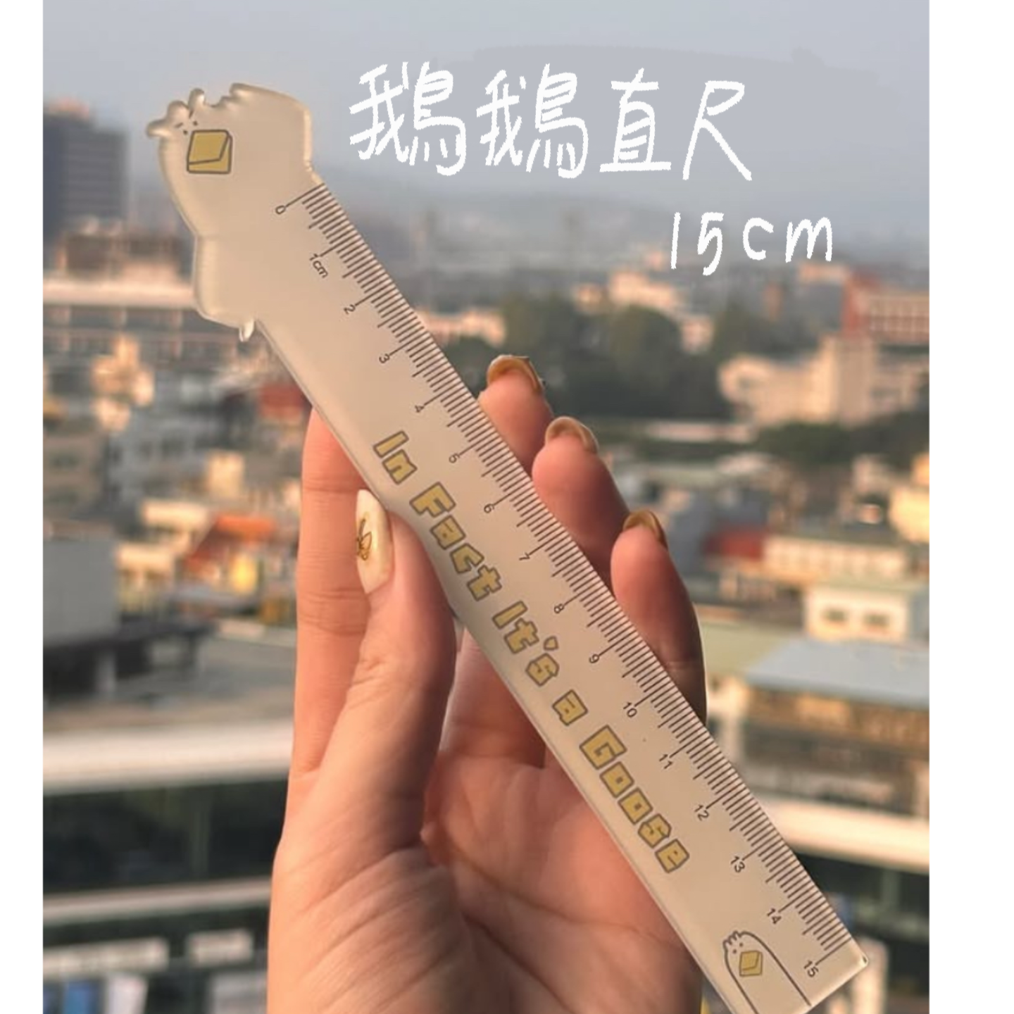 鵝鵝直尺📏
