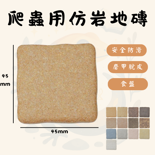 正方形爬蟲仿岩地磚