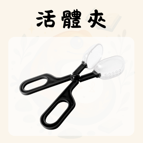 活體夾