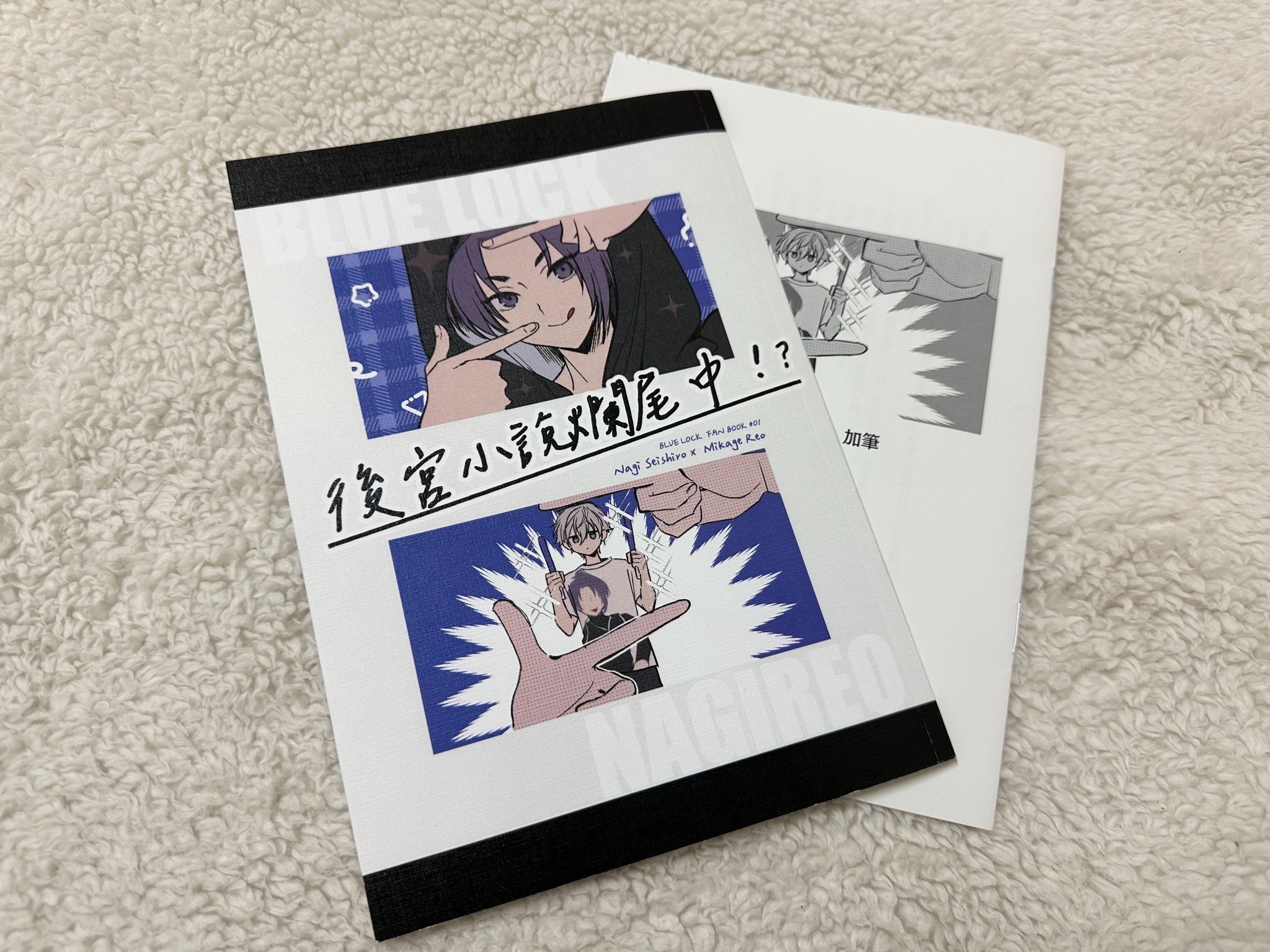 《後宮小說爛尾中？！》