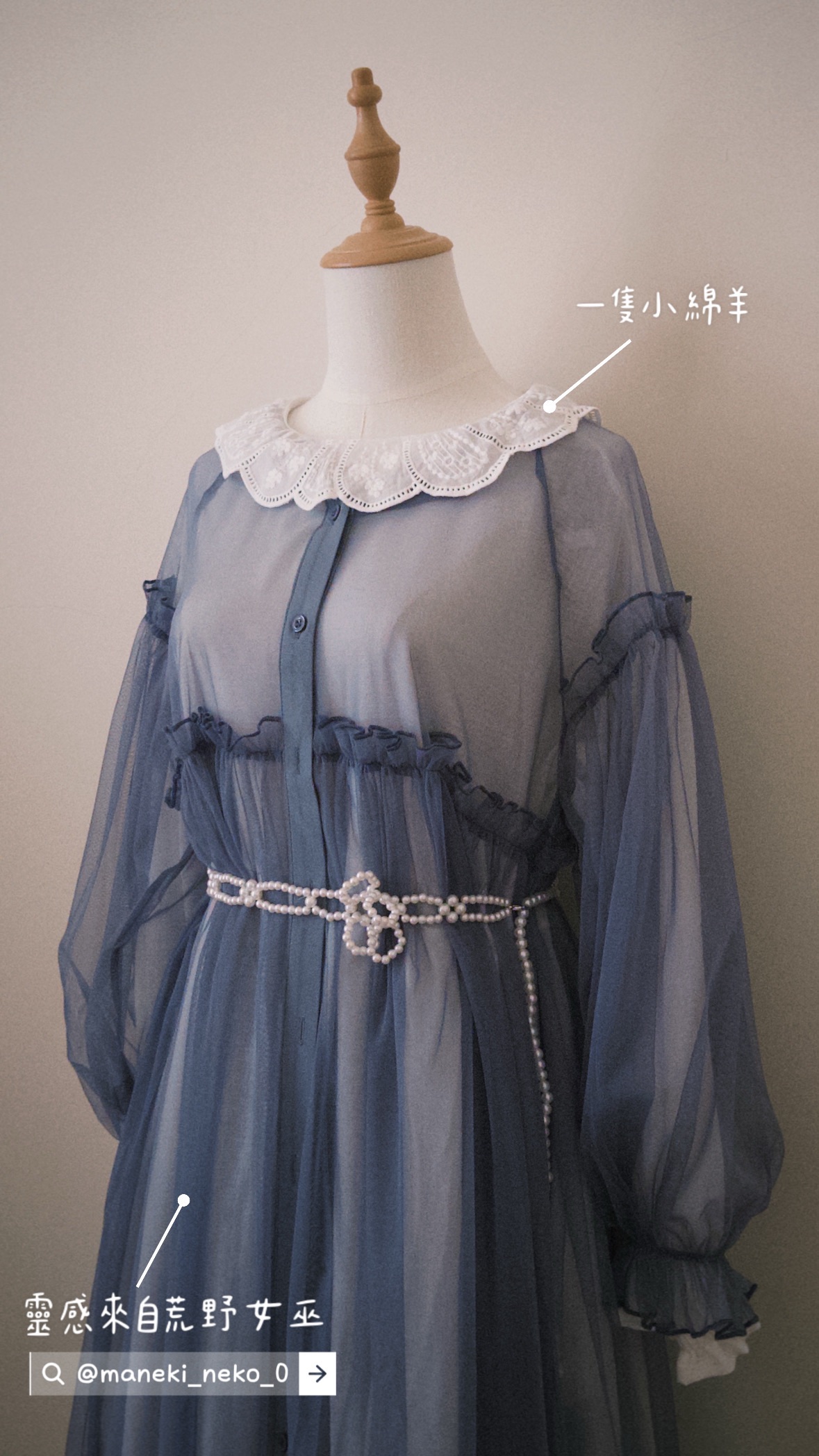 -靈感來自荒野女巫-（網紗澎袖罩衫）