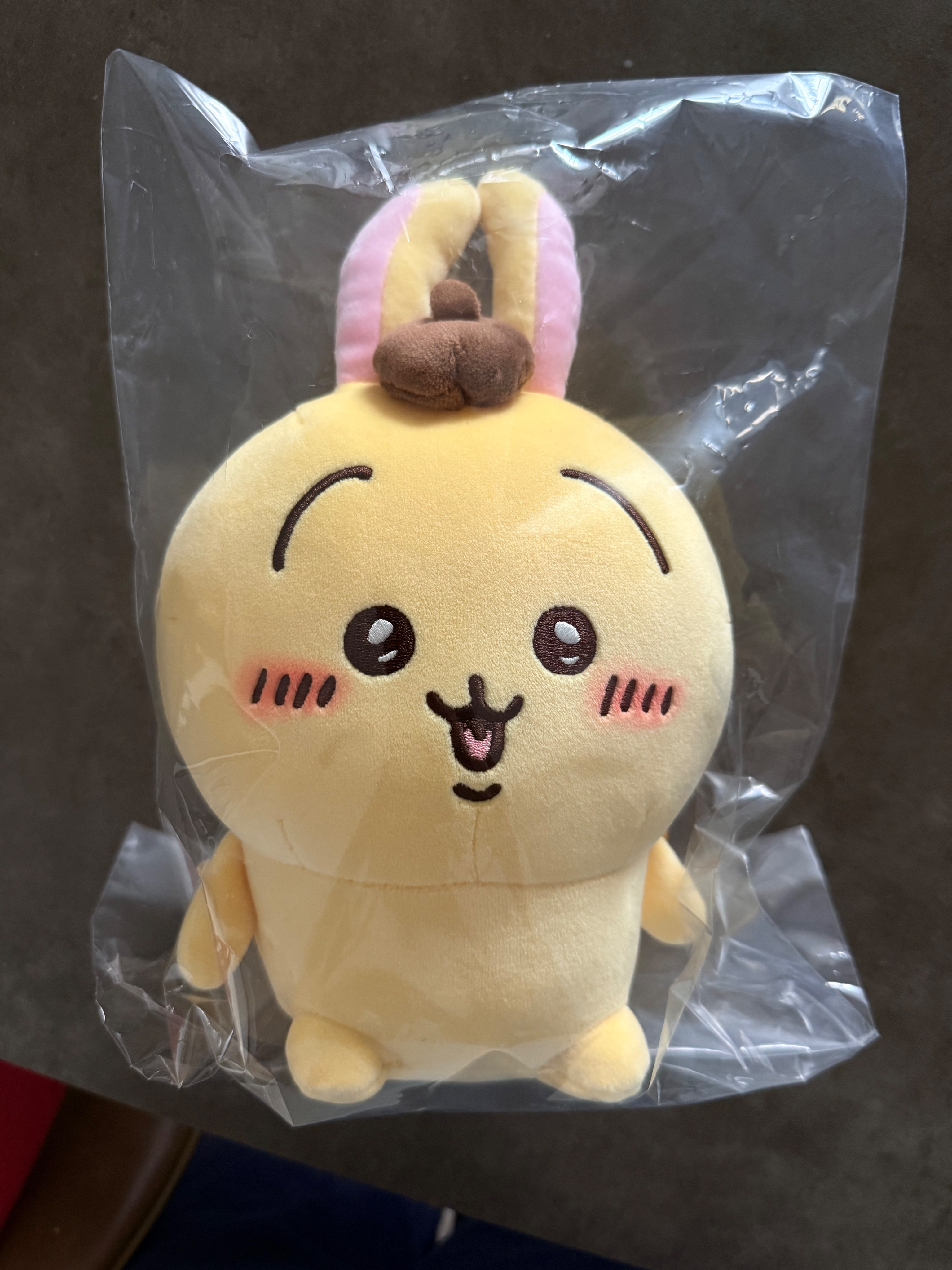 聯名537 布丁狗S娃 （臉超甜）