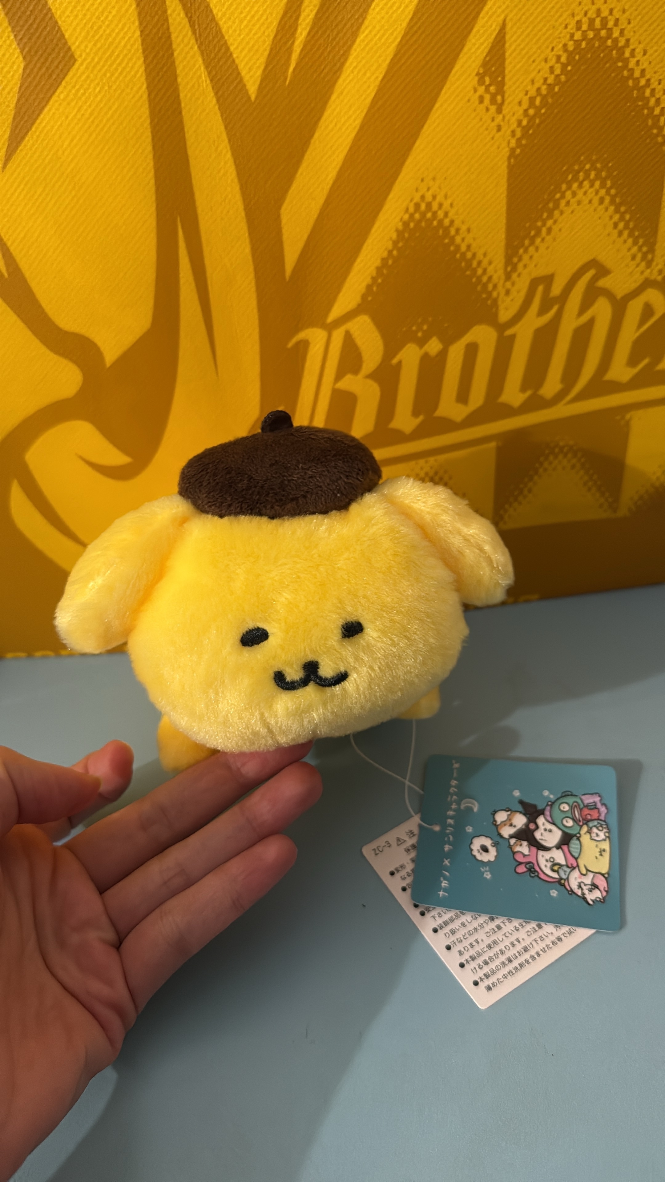 自嘲熊布丁狗聯名趴娃