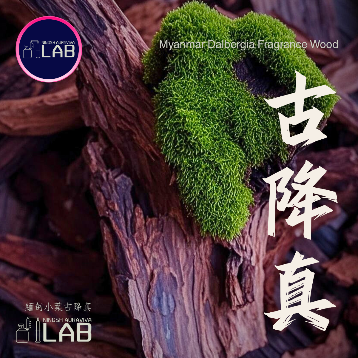 緬甸古降真 原木 | 80克 依樹農時價